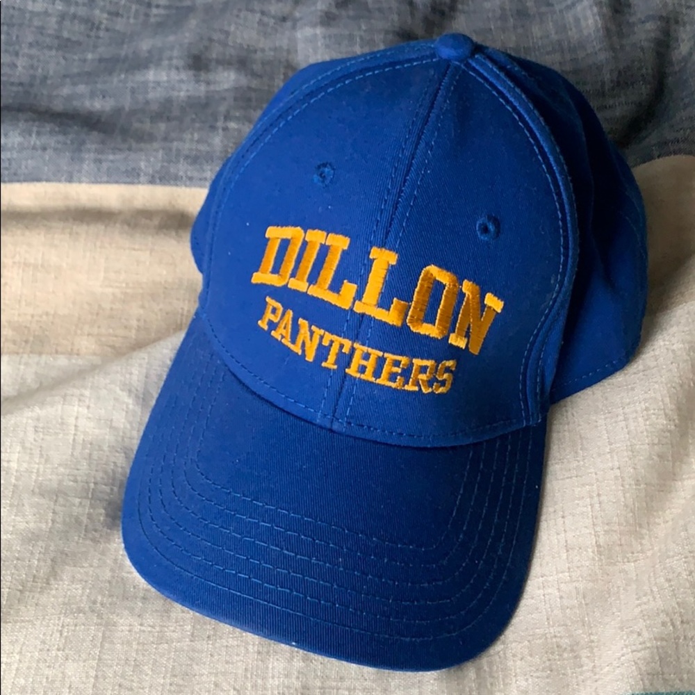 Dillon Panthers Baseball Cap